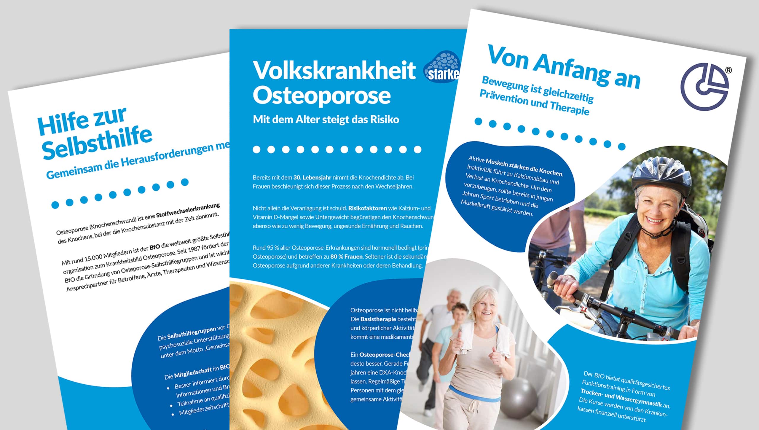 https://www.osteoporose-deutschland.de/wp-content/uploads/Collage-Lernort-Knochen-web-klein-1.jpg